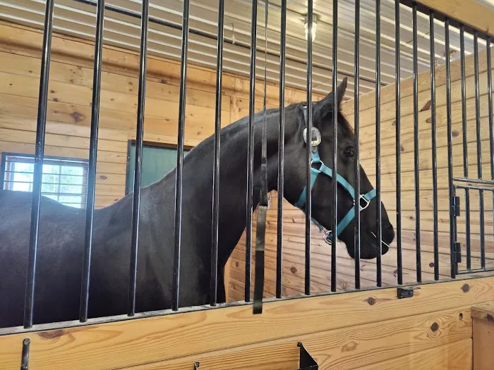 New England Equine Medical & Surgical center 6