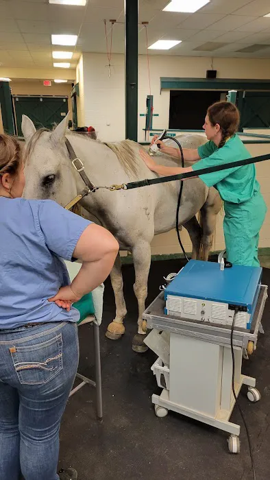 New England Equine Medical & Surgical center 5