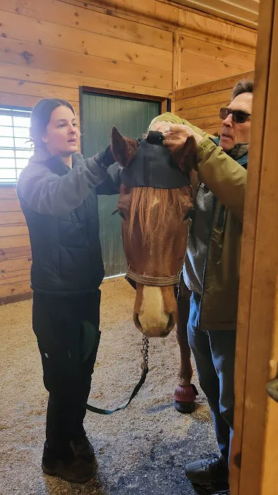 New England Equine Medical & Surgical center 10