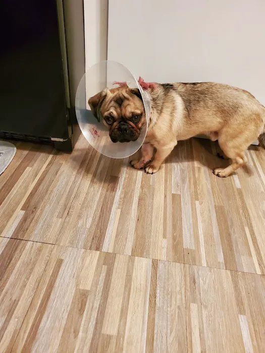 Central Park Veterinary Clinic 1