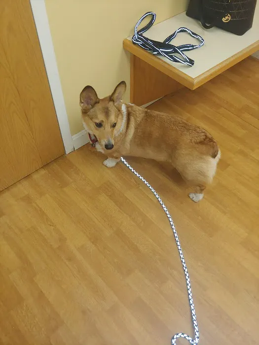 Central Park Veterinary Clinic 3