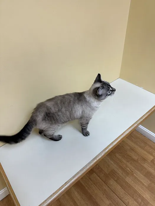 Central Park Veterinary Clinic 2