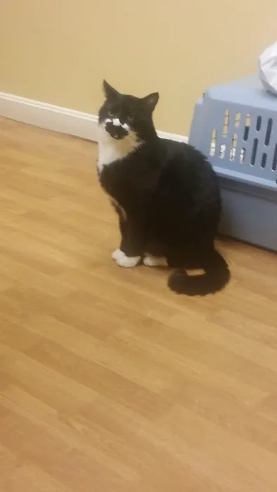 Central Park Veterinary Clinic 5