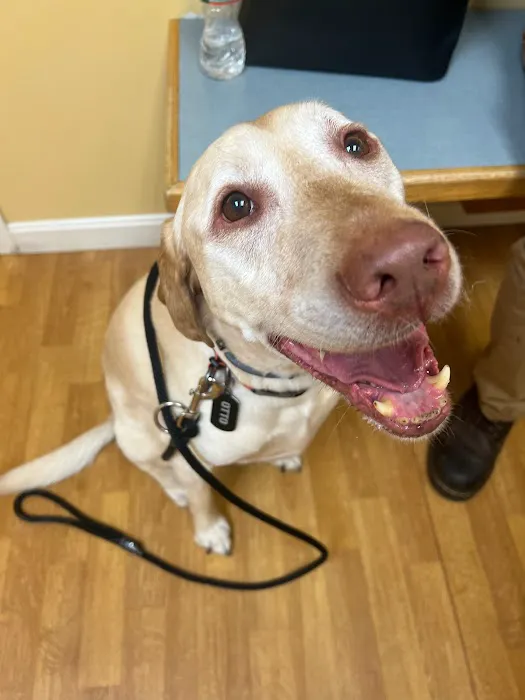 Central Park Veterinary Clinic 6