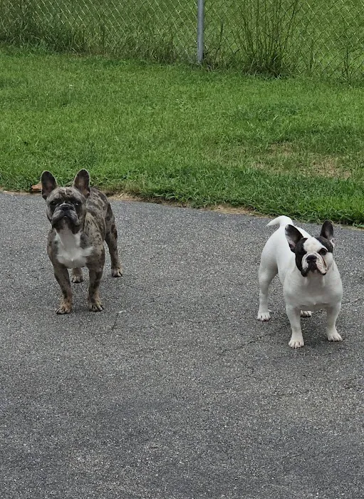 Central Park Veterinary Clinic 8