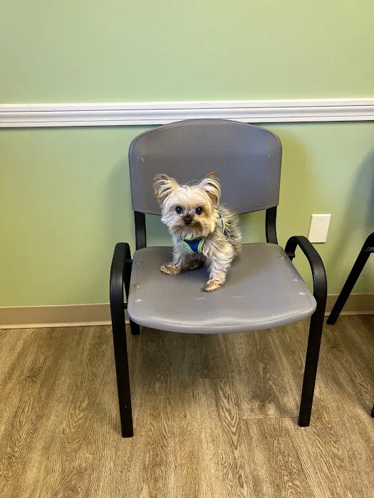 Animal Health Center 7