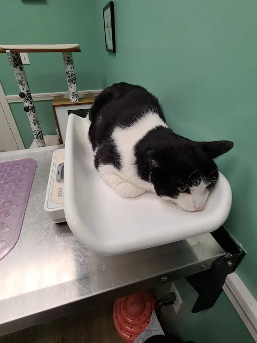 Animal Health Center 9