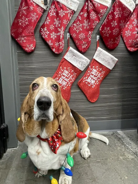 Vetco Total Care - Great Falls Veterinary Hospital 5