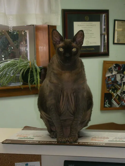 Vetco Total Care - Great Falls Veterinary Hospital 6