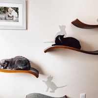 Broadview Animal Hospital of Dover ico