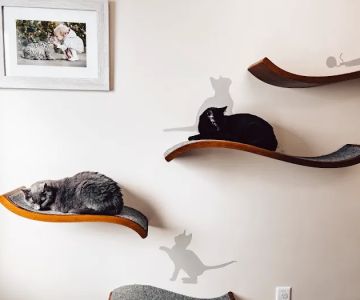 Broadview Animal Hospital of Dover