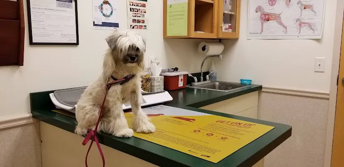Great Bay Animal Hospital 7