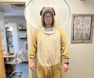 Vogel Veterinary Emergency and Specialty (including Dermatology)