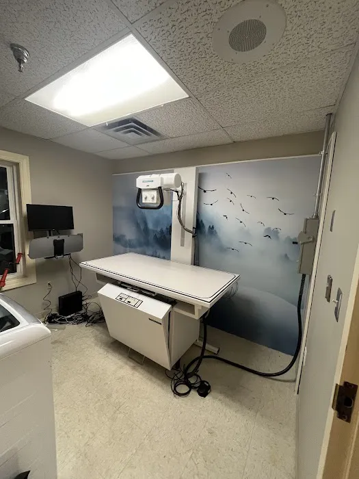 Vogel Veterinary Emergency and Specialty (including Dermatology) 3