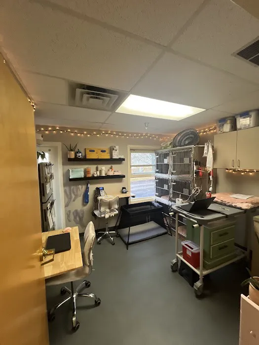 Vogel Veterinary Emergency and Specialty (including Dermatology) 8