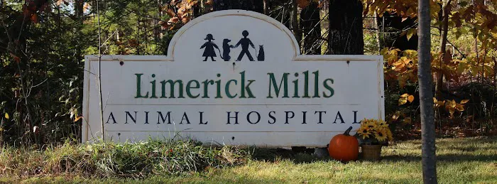 Limerick Mills Animal Hospital Private Vet Care 6