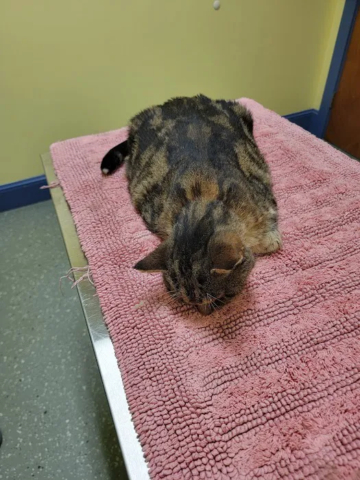 Ross Corner Animal Wellness Center 5