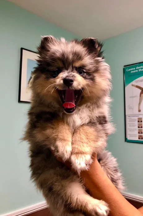 Sacopee Veterinary Clinic 1