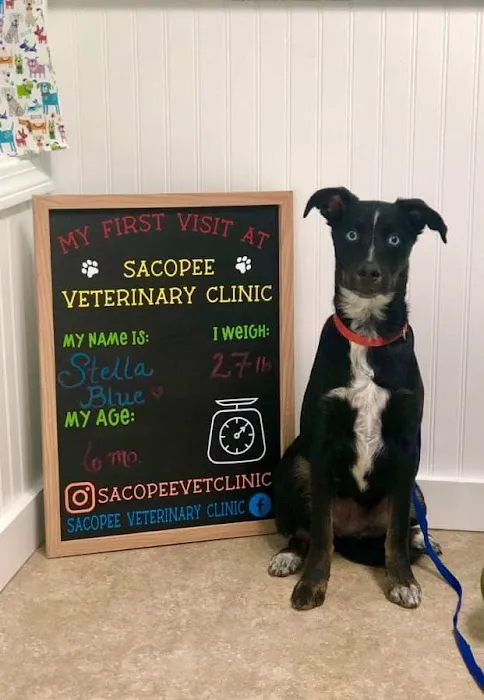 Sacopee Veterinary Clinic 6