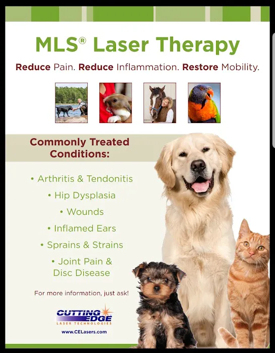 Sacopee Veterinary Clinic 7