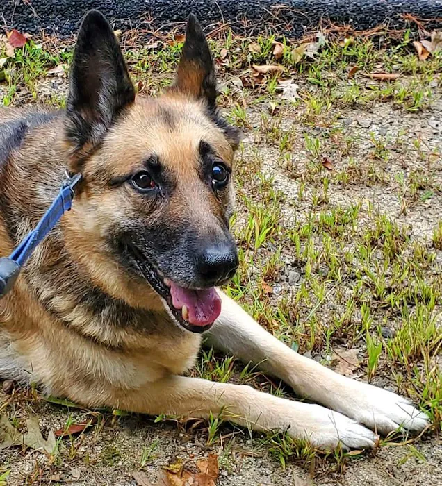 Fryeburg Veterinary Hospital 5