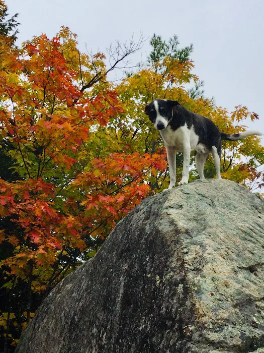 Fryeburg Veterinary Hospital 7