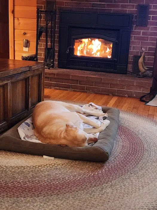 Fryeburg Veterinary Hospital 9