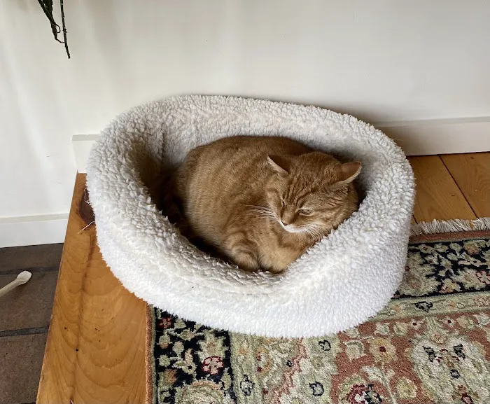 Fryeburg Veterinary Hospital 10