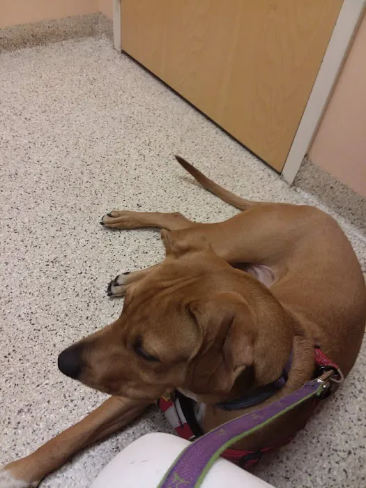 Ridge Animal Hospital 4