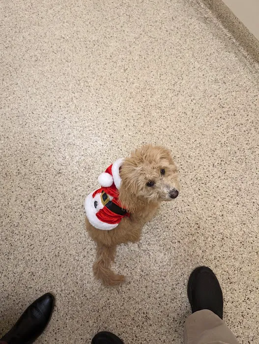 Ridge Animal Hospital 5
