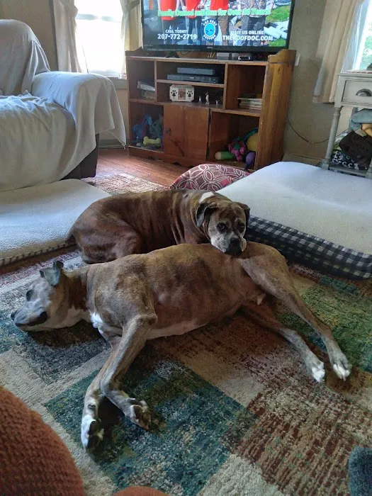 Ridge Animal Hospital 3