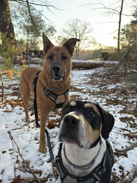 Alfred Waterboro Veterinary Hospital, PC 1