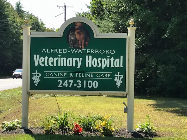 Alfred Waterboro Veterinary Hospital, PC 10