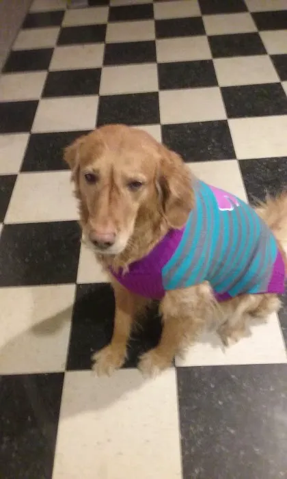 Alfred Waterboro Veterinary Hospital, PC 9