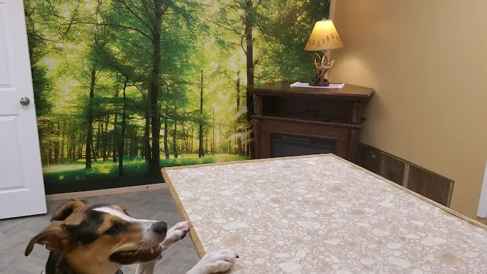 Woodlands Veterinary 4