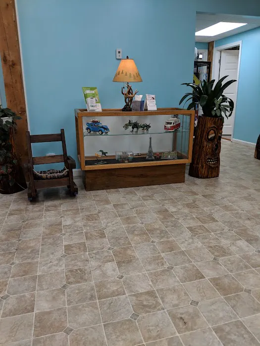 Woodlands Veterinary 8