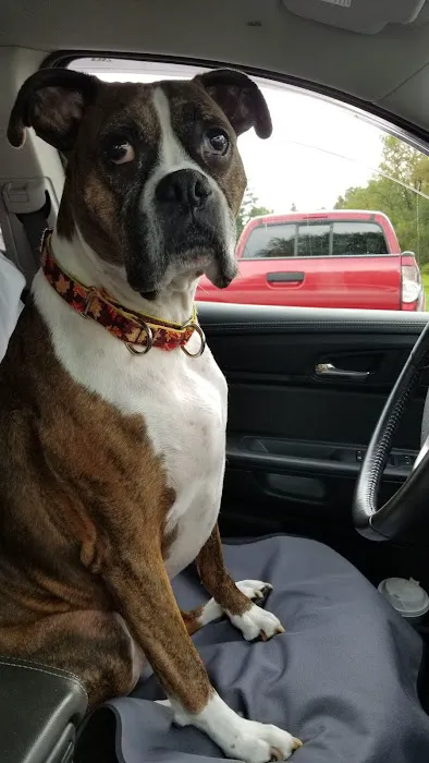 Lancaster Veterinary Hospital 7
