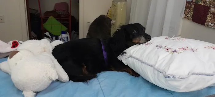 Lancaster Veterinary Hospital 1