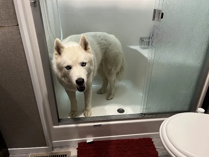 Danville Animal Hospital 6
