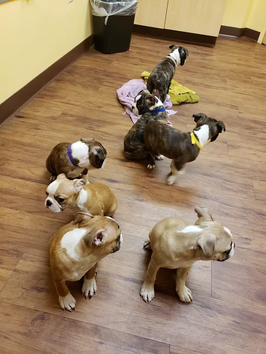 Randolph Regional Veterinary Hospital 7