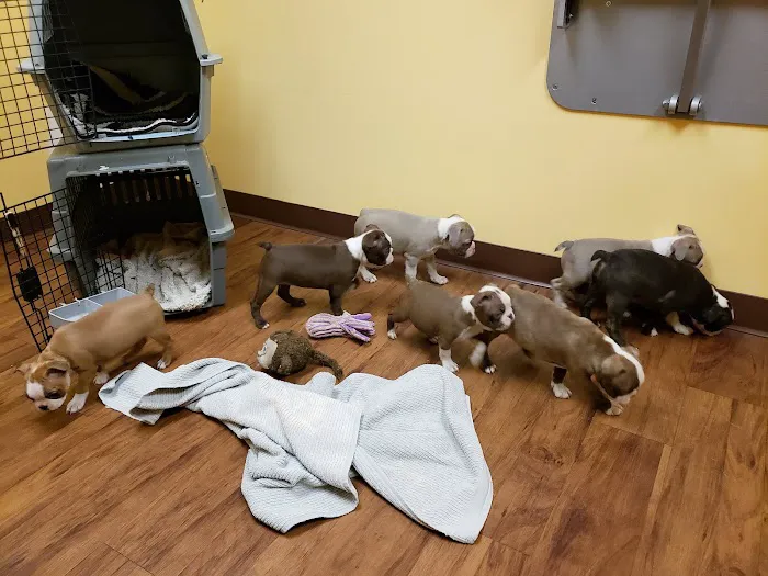 Randolph Regional Veterinary Hospital 3