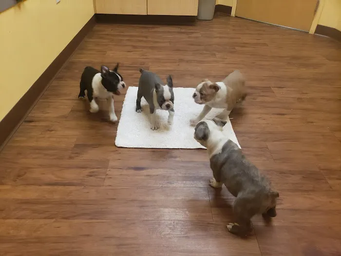 Randolph Regional Veterinary Hospital 4