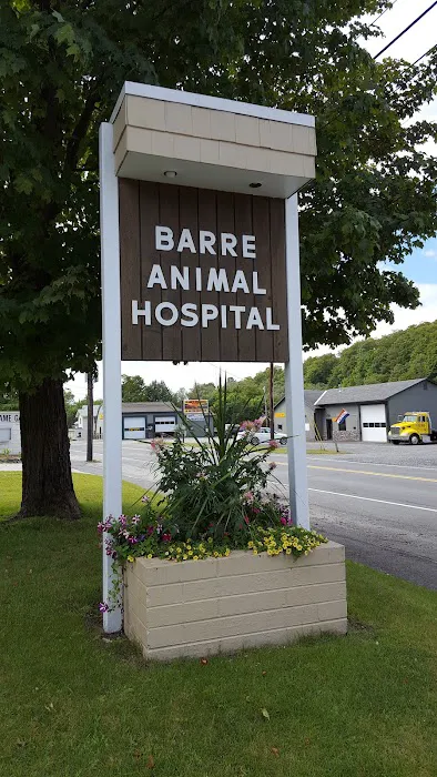 Barre Animal Hospital 1