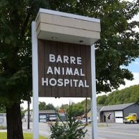 Barre Animal Hospital ico