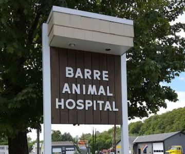 Barre Animal Hospital