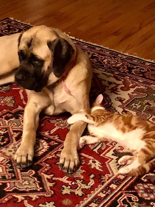 Onion River Animal Hospital 5