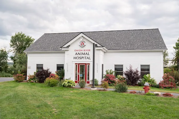 Onion River Animal Hospital 2