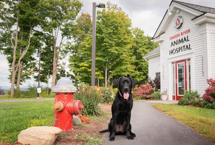Onion River Animal Hospital 10