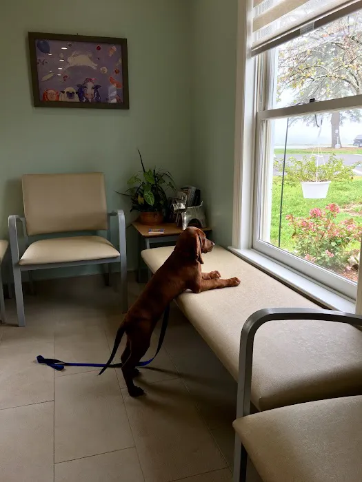 Onion River Animal Hospital 7