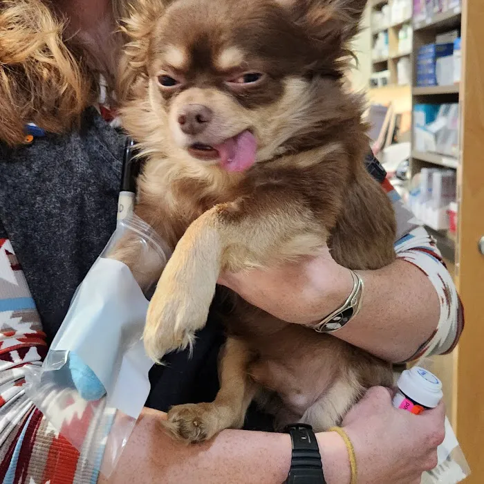 Onion River Animal Hospital 6